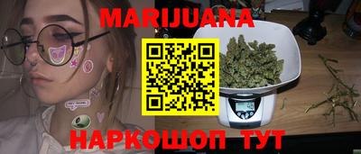 сатива Коммунар