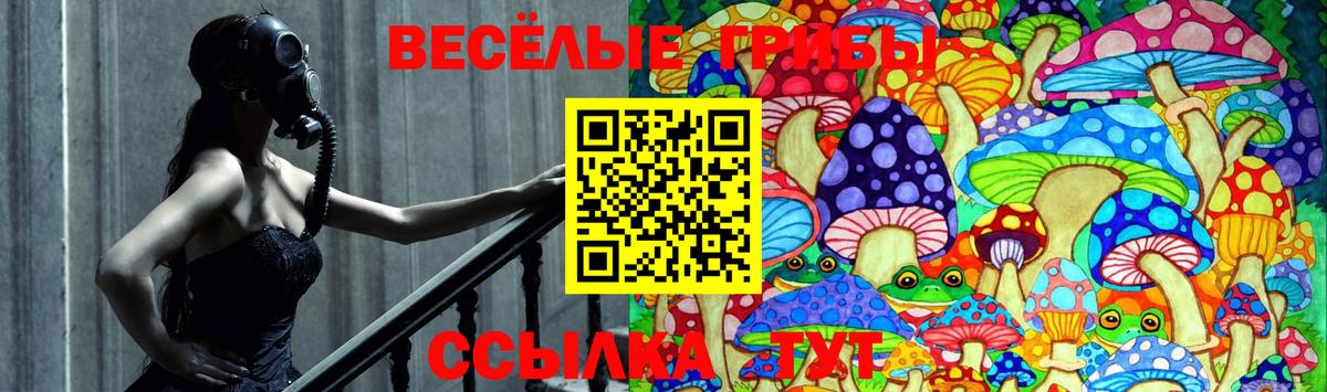 Галлюциногенные грибы MAGIC MUSHROOMS  цена наркотик  Аксай  Вход с VPN 